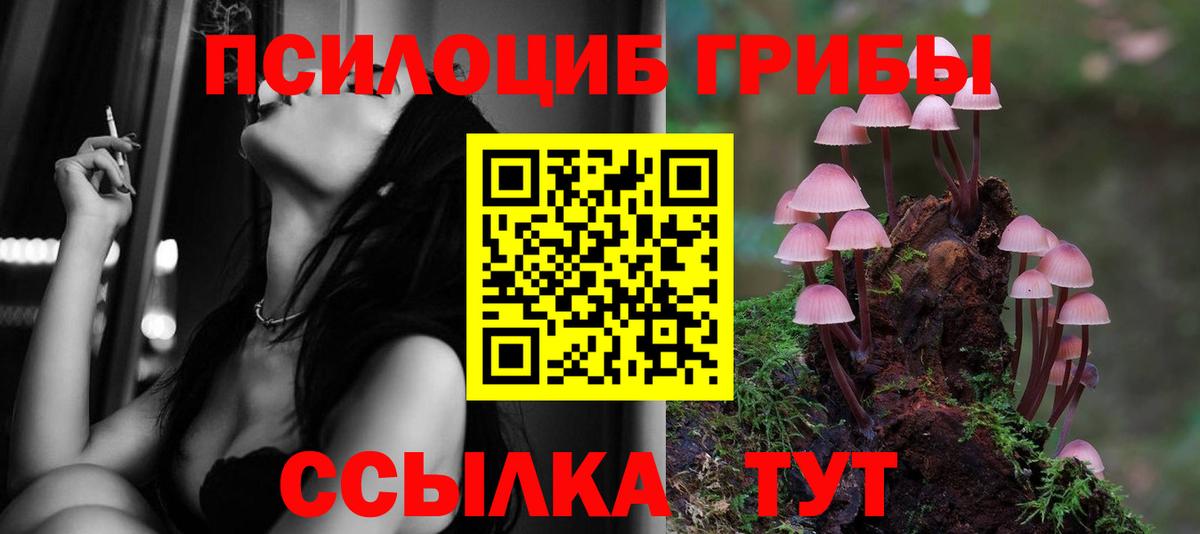 Галлюциногенные грибы мицелий  Вход с VPN  как найти наркотики  Вичуга 