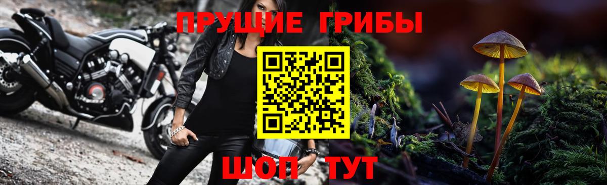Псилоцибиновые грибы GOLDEN TEACHER Вичуга
